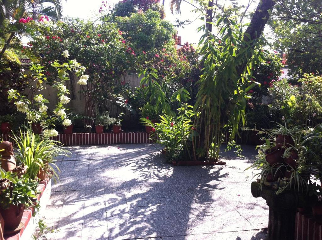 Casa Tukari Colonial House Hotel Puerto Vallarta Esterno foto